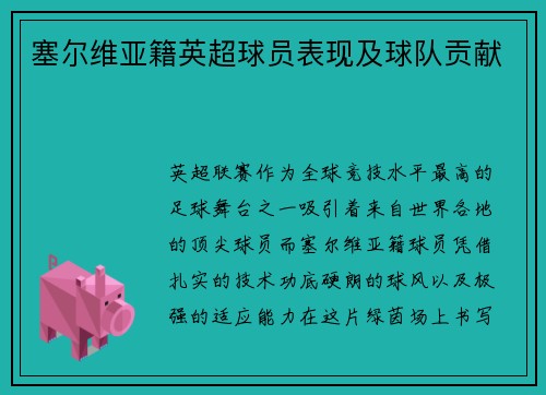 塞尔维亚籍英超球员表现及球队贡献