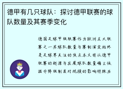 德甲有几只球队：探讨德甲联赛的球队数量及其赛季变化