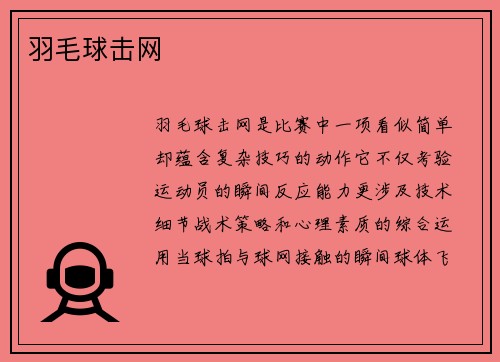 羽毛球击网