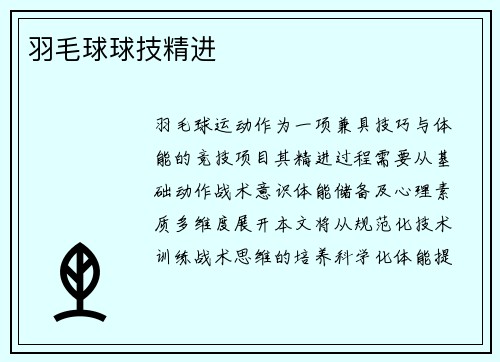 羽毛球球技精进